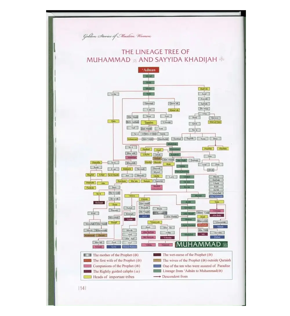 Golden Stories of Muslim Women - Darussalam