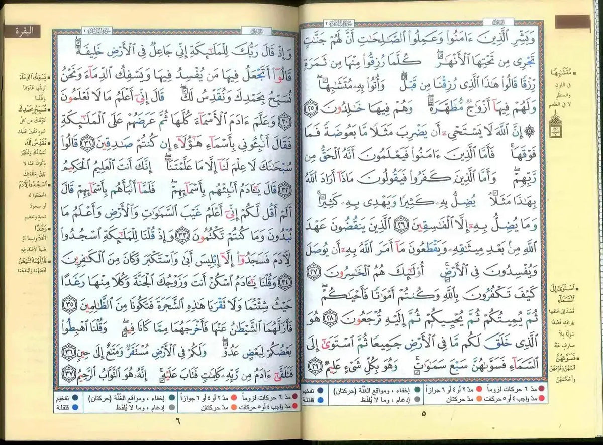Tajweed Quran - Color coded Arabic only Large 17x24cm DM Delux - Darussalam